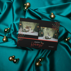 Kerstkaarten met eigen foto - Duo